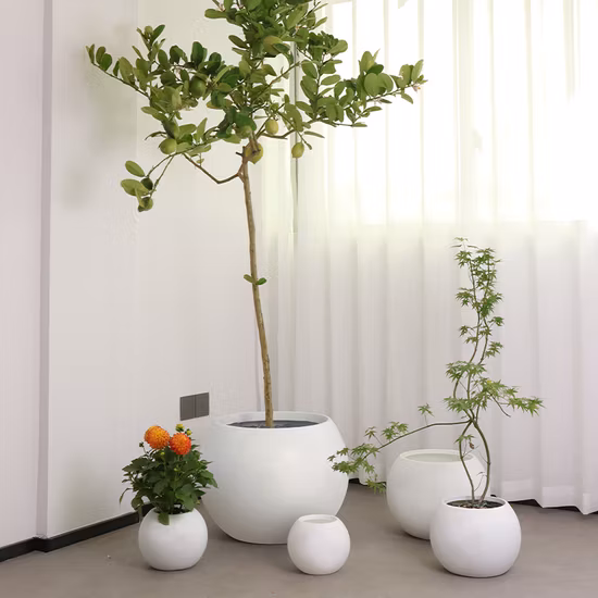 Populaire Amazon Vente Chaude Bureau Décoration Style Nordique Pots D'orchidées Grand Rond En Plastique Pot De Fleur Pot De Plante Pot De Jardin Planteur Pots Écologiques